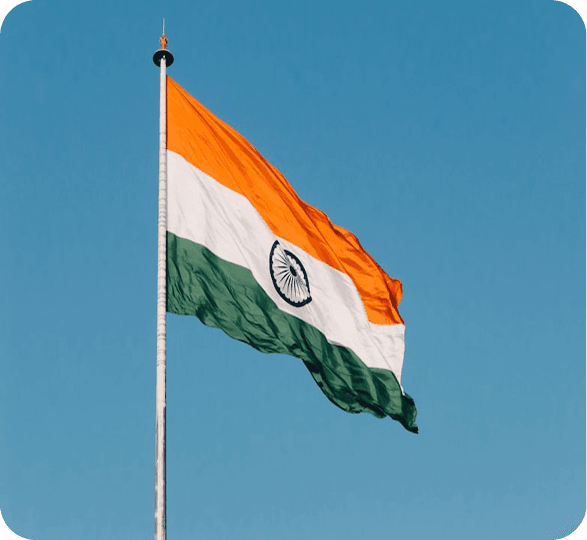 AI & National Digital Leadership