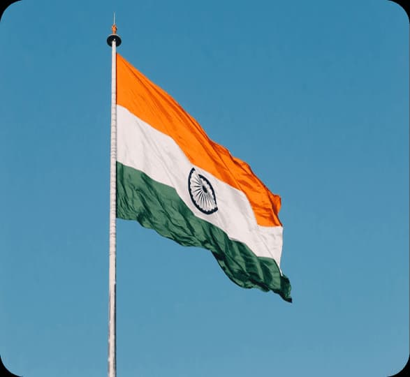 AI & National Digital Leadership